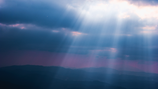 Follow the Light – John 8:12