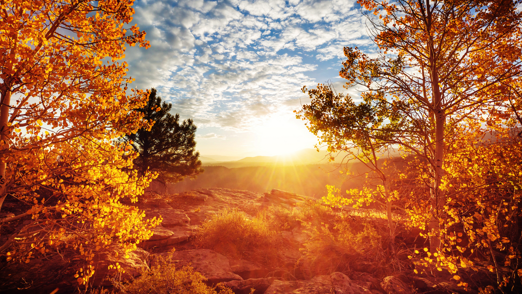 Just in Time – Ecclesiastes 3:1