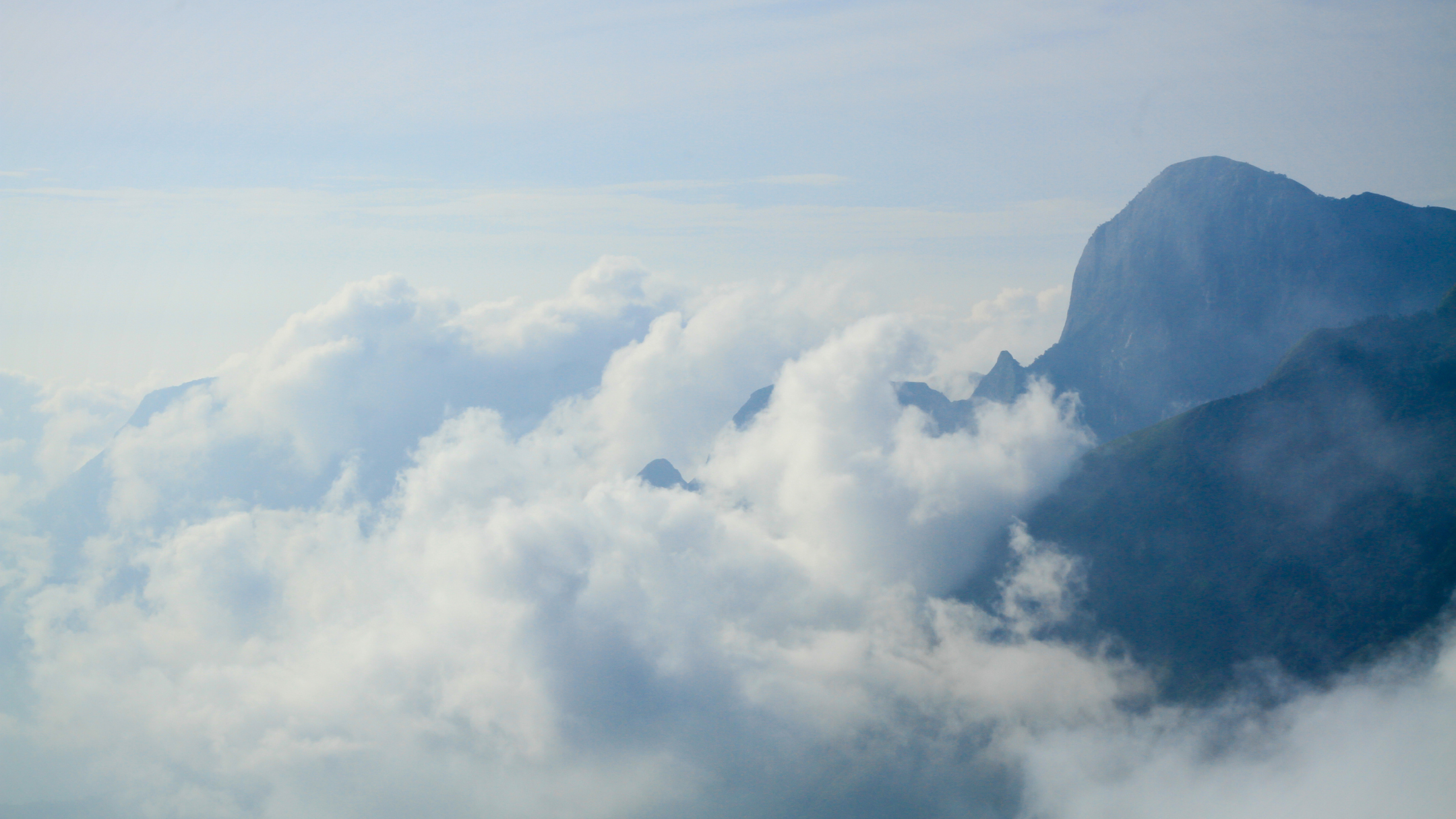 You Were Chosen for This – 1 Peter 2:9