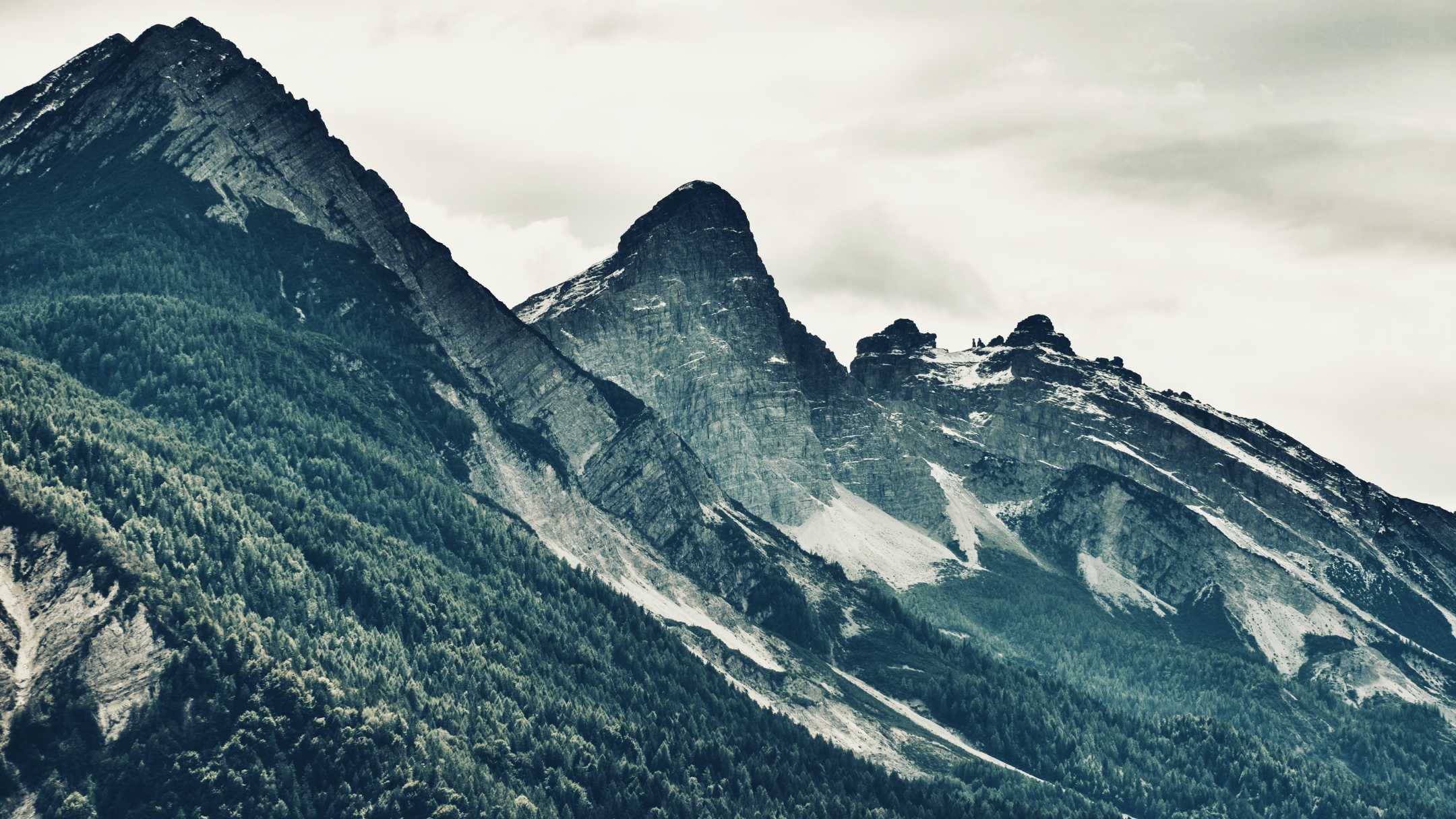 Steady in the Stumble – Psalm 37:23-24