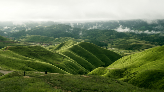 Love Is the Answer – 1 Corinthians 13:1